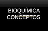 Bioquímica conceptos