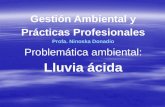 Gestión Ambiental y Prácticas Profesionales Profa .  Ninoska Donadio Problemática ambiental: