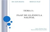 TEMA 3 :   PAAF DE GLÁNDULA SALIVAL