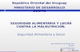 SEGURIDAD ALIMENTARIA Y LUCHA CONTRA LA MALNUTRICIÓN. Seguridad Alimentaria y Salud