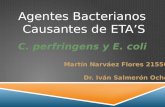 Agentes Bacterianos  Causantes de ETA’S
