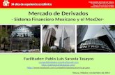 Mercado de Derivados - Sistema Financiero Mexicano y el  MexDer -