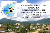 CAMPAÑA ORGULLO PARA  LA CONSERVACIÓN DE LAS MICROCUENCAS RUMIYACU Y MISHQUIYACU