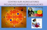 CENTRO SUR-AGRICULTORES PICUNCHES-MAPUCHES-HUILLICHES