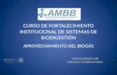 CURSO DE FORTALECIMIENTO INSTITUCIONAL DE SISTEMAS DE BIODIGESTIÓN