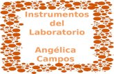 Instrumentos  del  Laboratorio Angélica  Campos