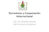Terrorismo y Cooperación Internacional