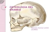 OSTEOLOGÍA DEL CRANEO