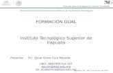FORMACIÓN DUAL Instituto Tecnológico Superior de Irapuato