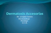 Dermatosis Accesorias