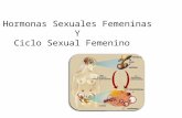 Hormonas Sexuales Femeninas Y Ciclo Sexual Femenino