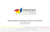 Oportunidades de Negocios Chile y Colombia Jorge Hernán Gutiérrez R. Bogotá, junio de 2012