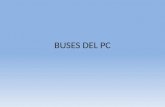 BUSES DEL PC