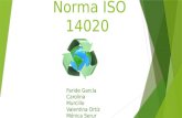 Norma ISO 14020