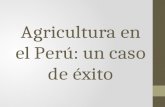 Agricultura en el Perú: un caso de éxito