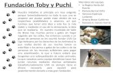 Fundación Toby y Puchi