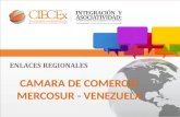 CAMARA DE COMERCIO MERCOSUR - VENEZUELA