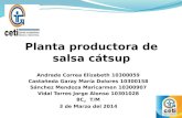 Planta productora de salsa cátsup