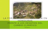 La Forestería Comunitaria en Honduras Frente a los Desafíos del Cambio Climático