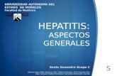 HEPATITIS:  ASPECTOS GENERALES