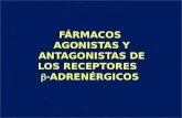 FÁRMACOS  AGONISTAS Y ANTAGONISTAS DE LOS RECEPTORES b- ADRENÉRGICOS
