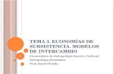 Tema 3. Economías de Subsistencia. Modelos de intercambio
