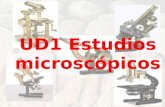 UD1 Estudios microscópicos