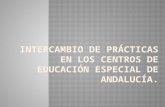 INTERCAMBIO DE PRÁCTICAS EN LOS CENTROS DE EDUCACIÓN ESPECIAL DE ANDALUCÍA.