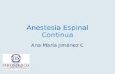 Anestesia Espinal  C ontinua