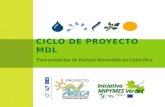 Ciclo de Proyecto MDL