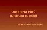 Despierta Perú ¡Disfruta tu café!