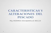 CARACTERISTICAS Y ALTERACIONES  DEL PESCADO
