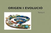 ORIGEN I EVOLUCIÓ