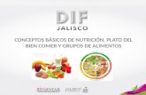 CONCEPTOS BÁSICOS DE NUTRICIÓN, PLATO DEL BIEN COMER Y GRUPOS DE ALIMENTOS