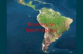 Biorregión Neotropical