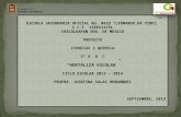 ESCUELA  SECUNDARIA OFICIAL No. 0923 “LEONARDO DA VINCI ” C.C.T. 15EES1375L