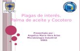 Presentado por :             Angelica Maria Vera Arias        Microbiologia Industrial