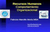 Recursos Humanos Comportamiento Organizacional