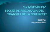 “ Ia  ASSEMBLEA”  SECCIÓ DE PSICOLOGIA DEL     TRÀNSIT I DE LA SEGURETAT