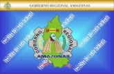 GOBIERNO REGIONAL AMAZONAS