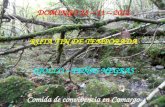 DOMINGO 25 – 11 – 2012 RUTA FIN DE TEMPORADA IGOLLO – PEÑAS NEGRAS Comida de convivencia en Camargo