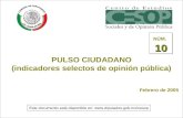 PULSO CIUDADANO (indicadores selectos de opinión pública)
