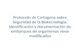 Protocolo de Cartagena sobre Seguridad de la Biotecnología: Identificación y documentación de embarques de organismos vivos modificados