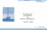 Prospectos profundos en Cuenca Neuquina