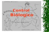 Control  Biologico Ingº Jorge E. Bardales Manrique