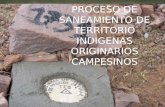 PROCESO DE SANEAMIENTO DE TERRITORIO INDIGENAS ORIGINARIOS CAMPESINOS