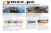 Diario Pymex