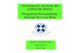 Fertilización racional del cultivo de Avena