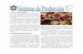 Revista De Sistemas De Produccion 4to Semestre