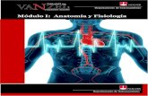 Modulo I Anatomia y Fisiologia